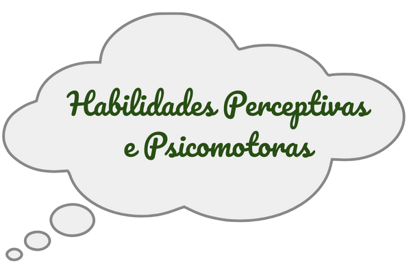 Habilidades perceptivas e psicomotoras 2